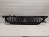 Front Lower Grille